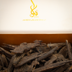 ⁦ناغلاند سيوفي⁩ - الصورة ⁦4⁩